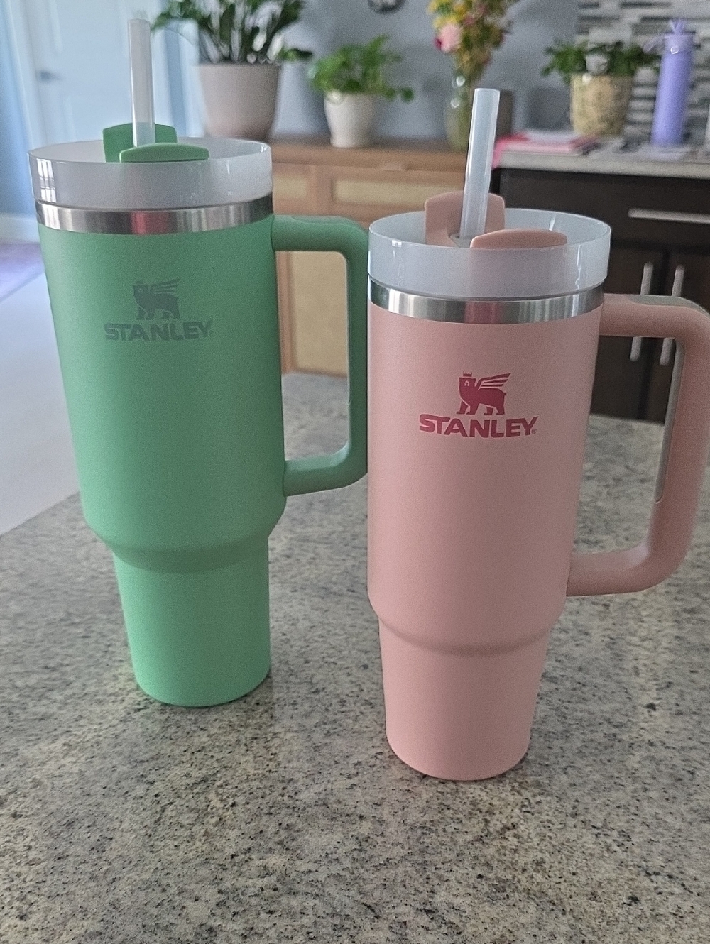 Stanley BUNDLE.. Green 40oz and Pink 30oz Insulated Travel Tumblers with Handles